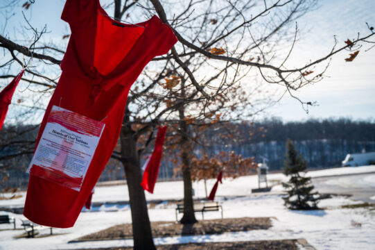 RedDress2021.jpg