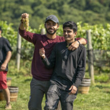 20230918_Winery_Grape_Stomp_NCC_2601