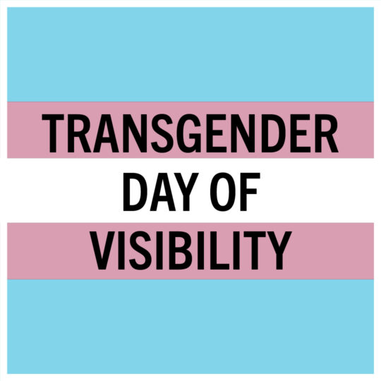 34472-Trans-Visibility_.jpg