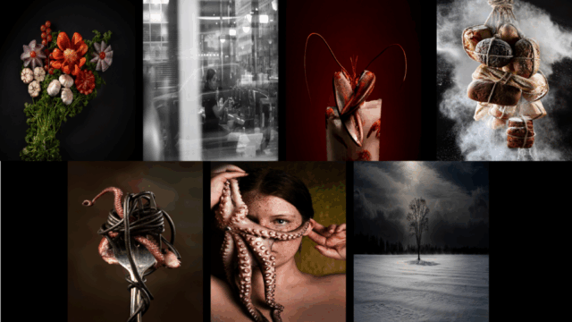 Photography.png