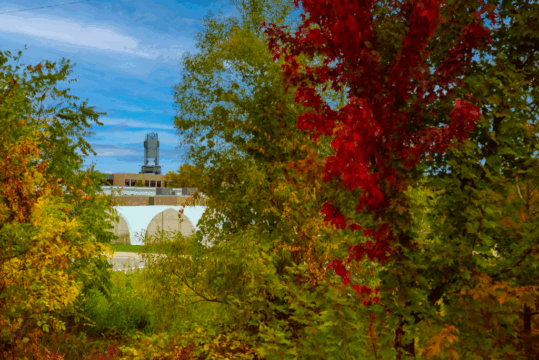 20221007_DJP_NOTL_Fall_General_7476.png