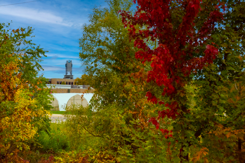 20221007_DJP_NOTL_Fall_General_7476.png