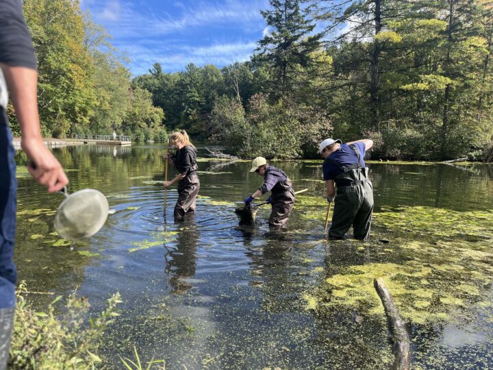 from-left-NC-students-Krista-Donker-Gab-Robert-Ryan-Pendlebury-sampling-for-benthic-macro-invertebrates.jpg