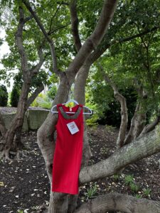 Red dressed will hang at both NC campuses from Oct 1 - 11 in memory of MMIWG2SLGBTQQIA+ victims and their families.