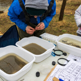 Benthic macroinvertebrates station
