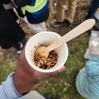 NC-Bioblitz-Wild-Rice-with-Sandra-_Haadeon-Scott_-_3_