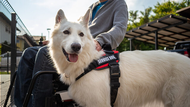 AdobeStock_477048513_insideNC.jpg