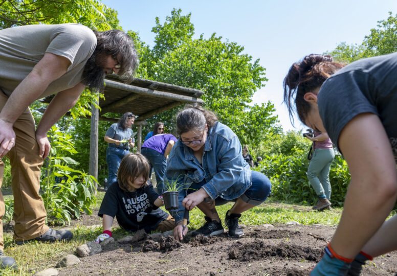 20250530_IE_Garden_NOTL_NCC_6428-scaled.jpg