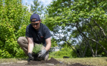 20250530_IE_Garden_NOTL_NCC_6435
