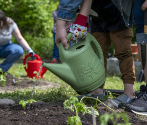 20250530_IE_Garden_NOTL_NCC_6542