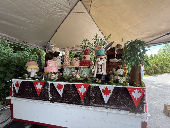 Canada-Day-cake.2-scaled.jpg