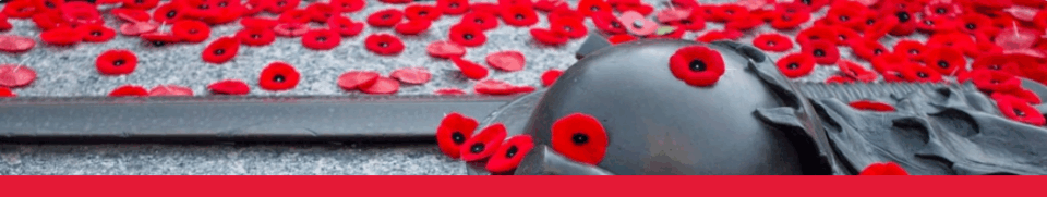 poppies.png