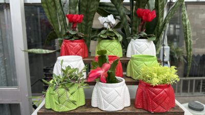 NC Holiday Gift Guide 2025: Shop unique gifts from NC’s Learning Enterprises