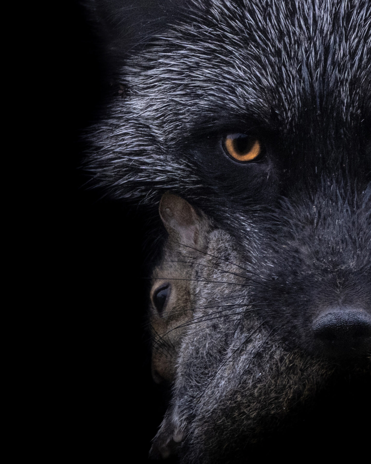 Canadian Geographic publishes work by NC Photography student