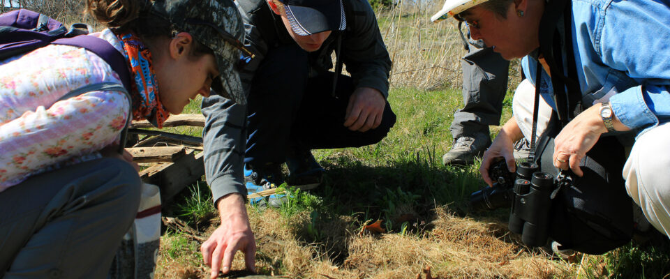Bioblitz.jpg
