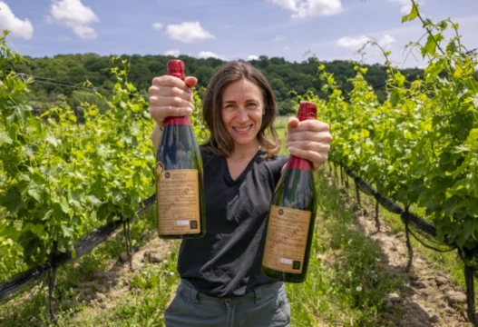 Findlay-gold-medal-sparkling.webp