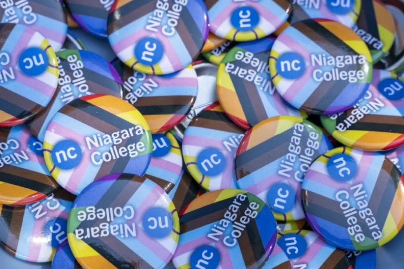 Pride-Pins.webp