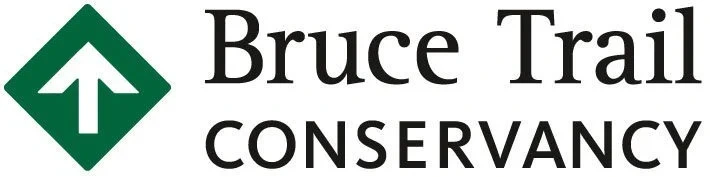 cropped-logo-copy.webp