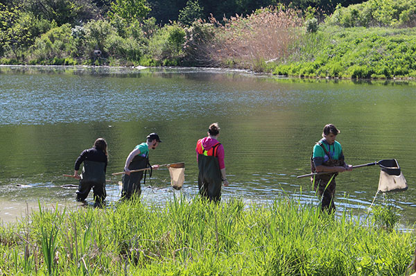 BioBlitz