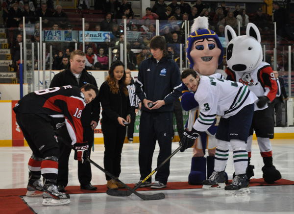 IceDogs