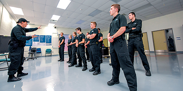 Image for Protection Security and Investigation (Customs Border Services)