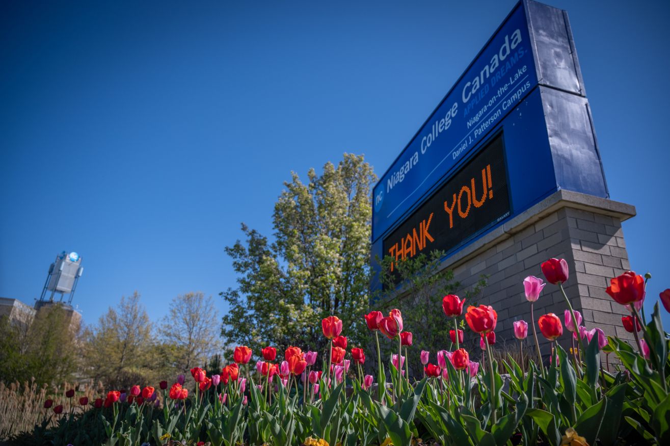 Digital sign at DJP campus displaying 'Thank you!' with some tulips in the foreground.