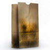 Brown paper bags (wet)