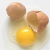 Eggs and eggshells 