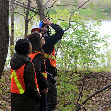 Hikers look through binoculars on the trail