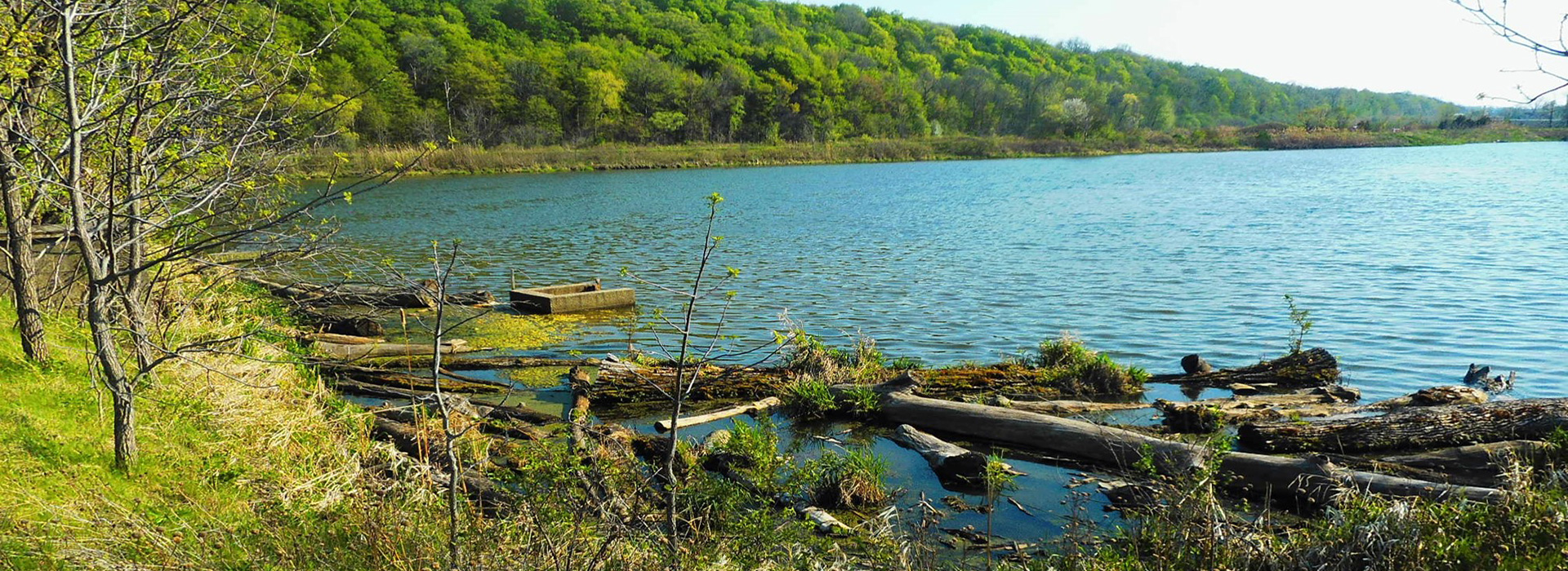 Lush green lagoon at NOTL in summer