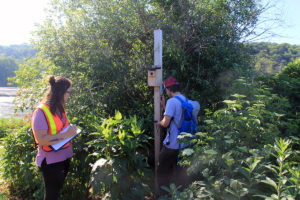 Two students checking on a bird house on a pole