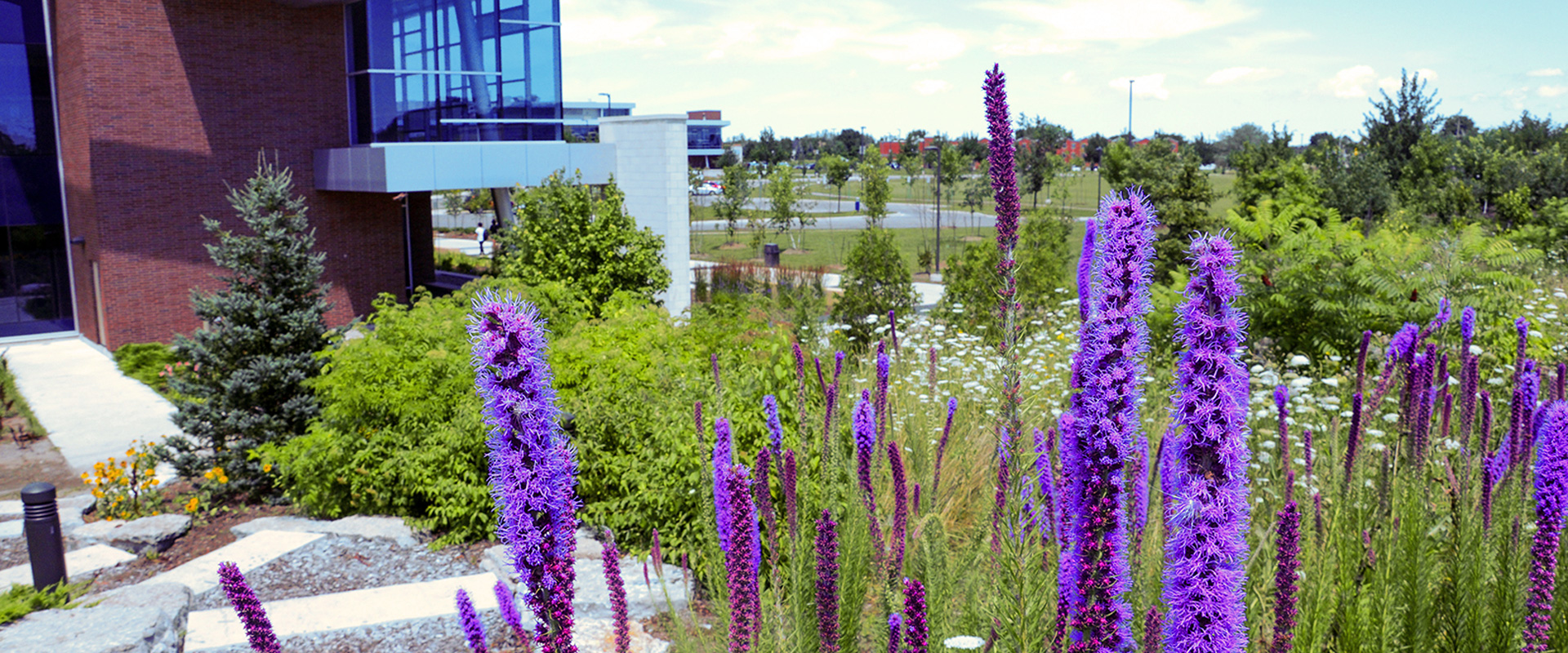Campus as a Living Lab NC Sustainability Niagara College
