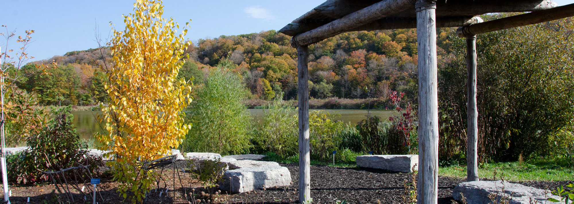A view of the indigenous garden at the Niagara-on-the-Lake campus
