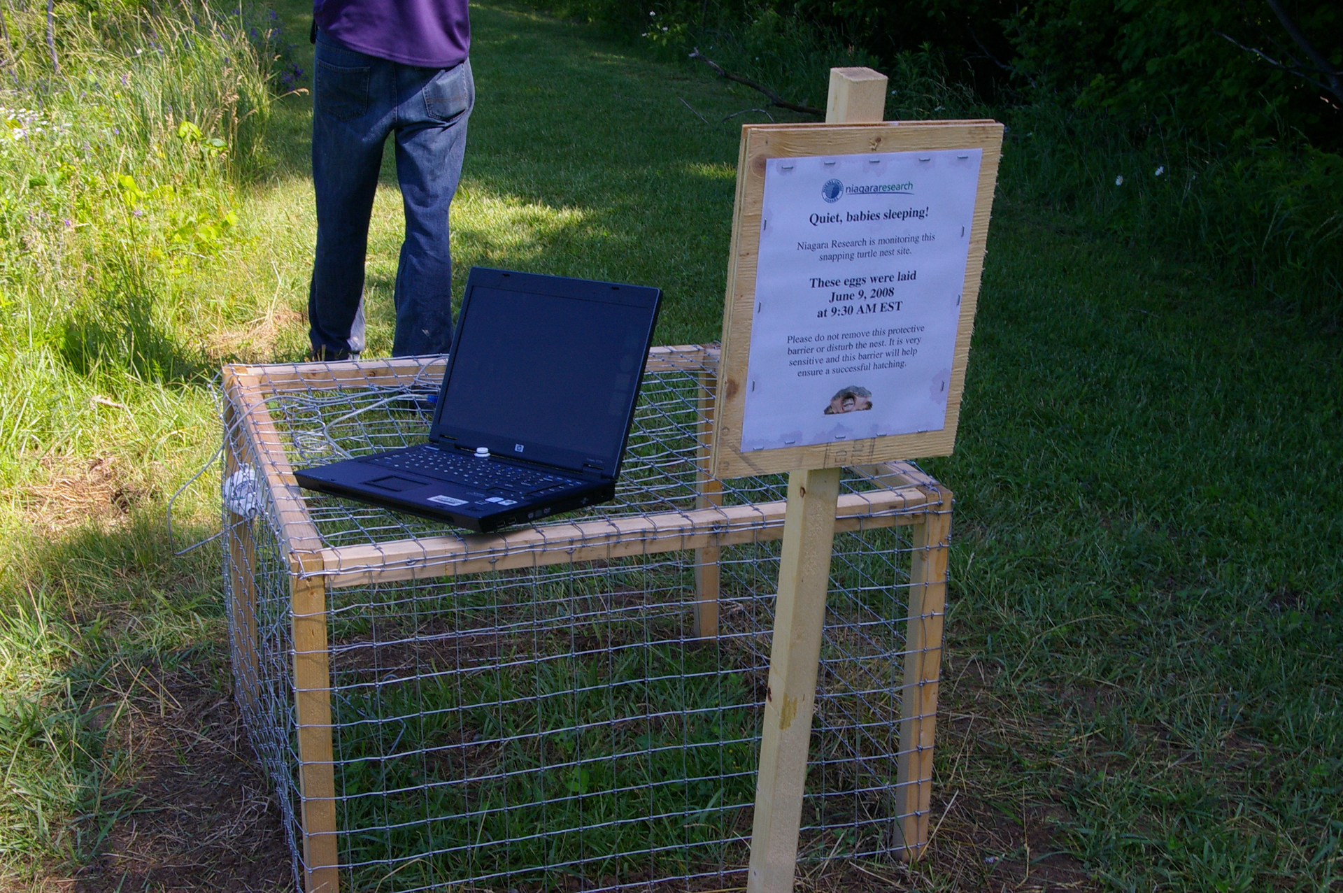 Snapping Turtle nesting cage protector