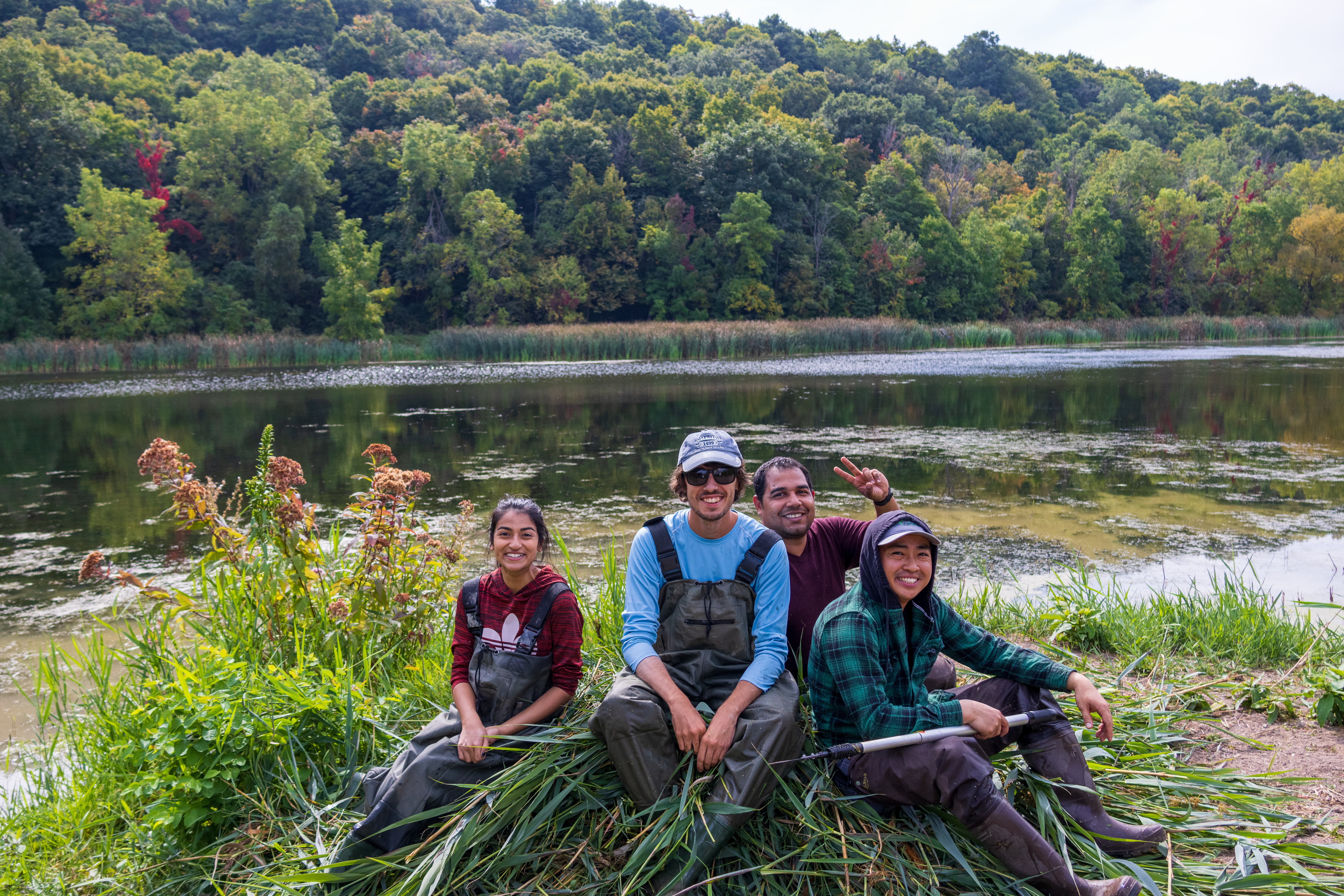 Students with recently cut down phragmites