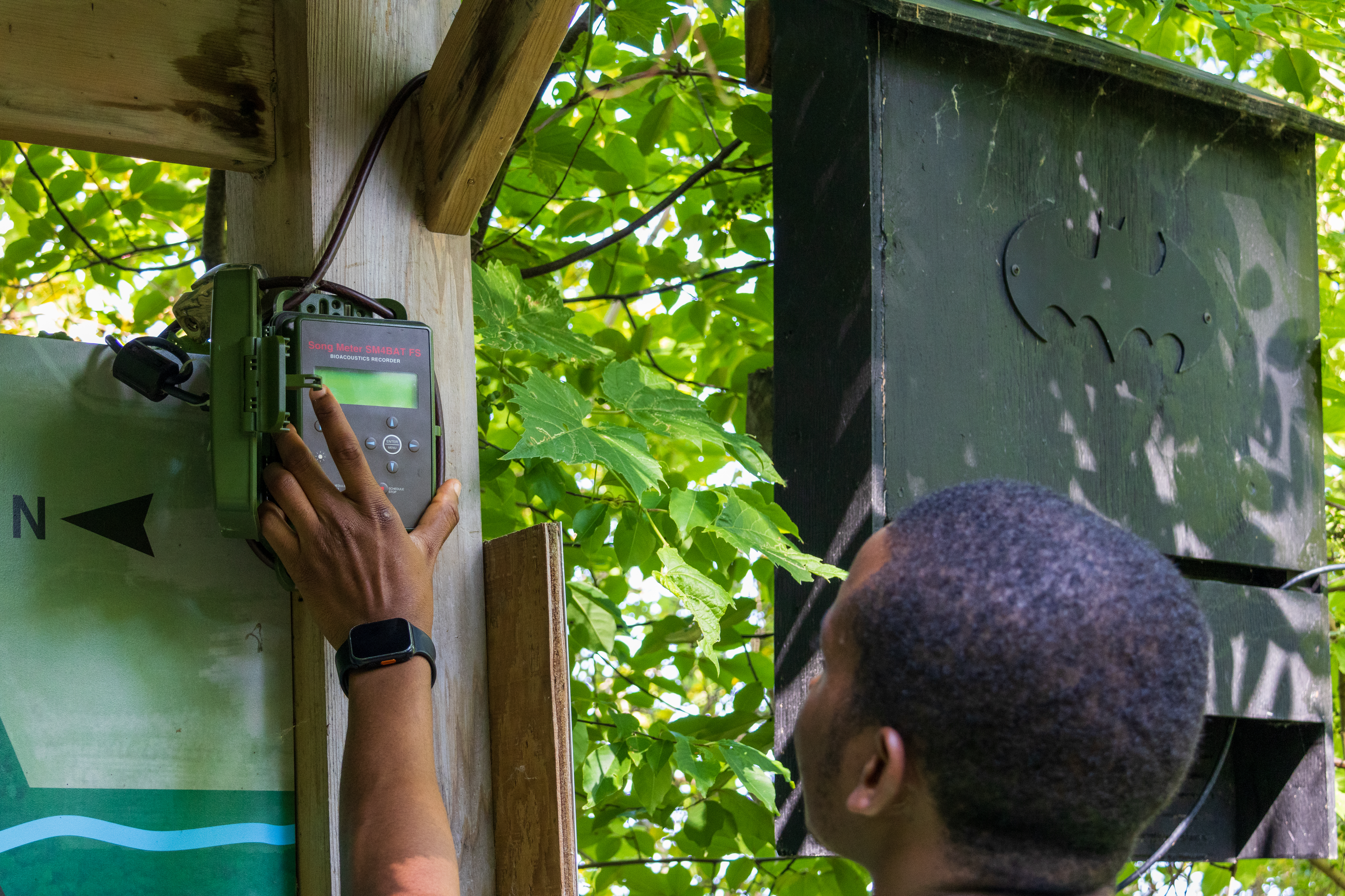 Student checking the bat monitoring equipment