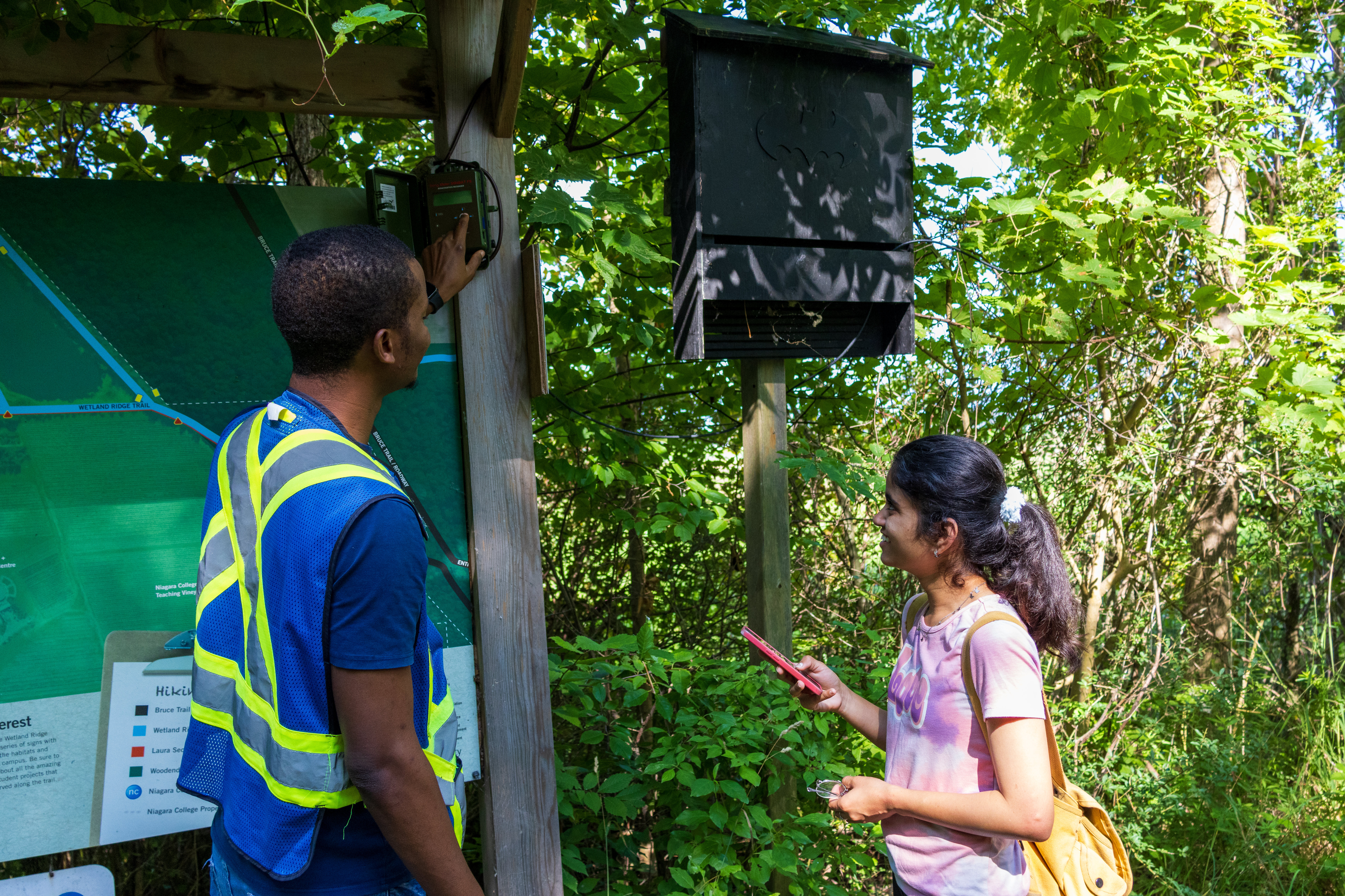 Students testing the bat monitoring equipment