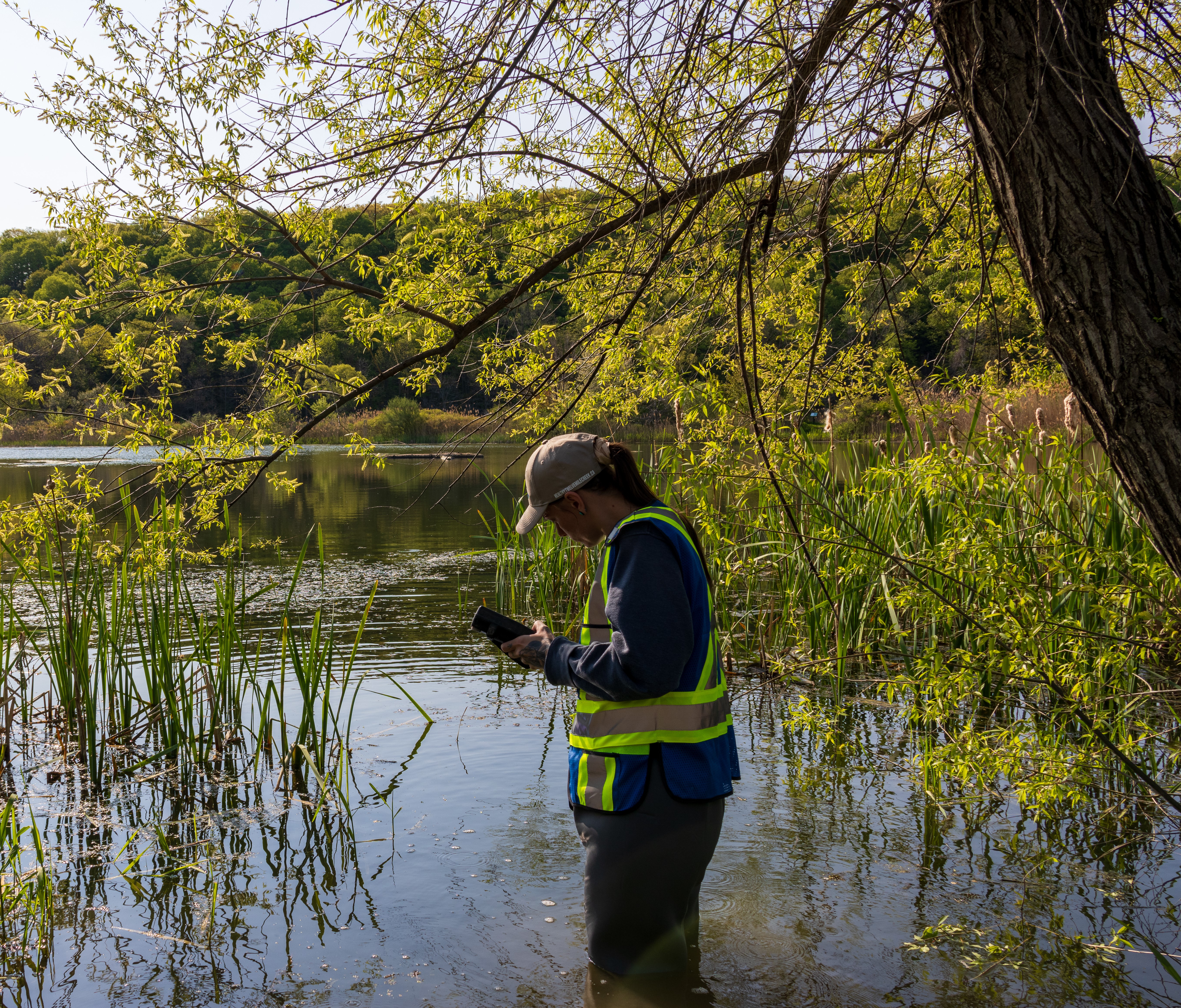 student water monitoring in the wetlands
