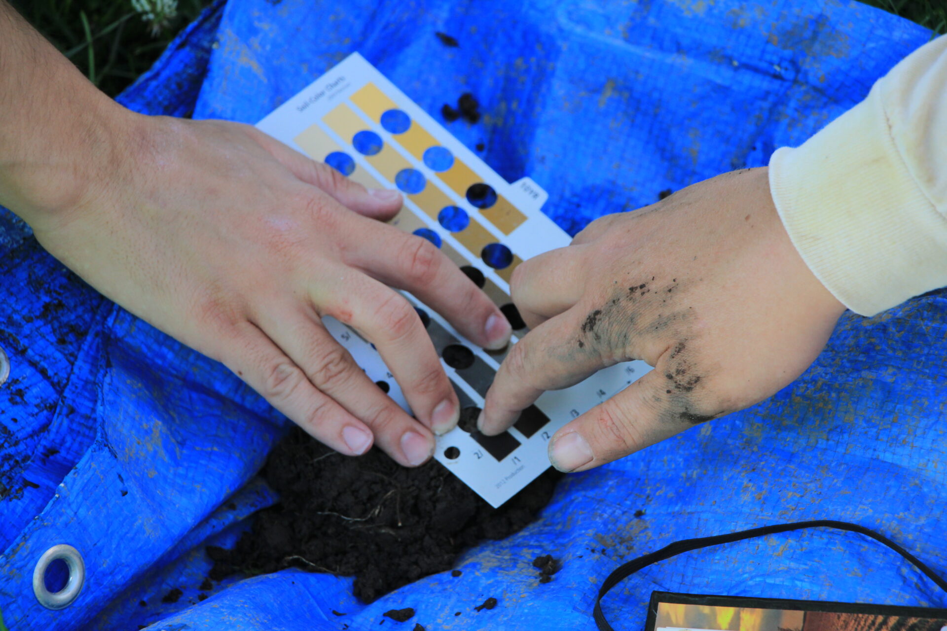 Students determining soil type based on colour matching