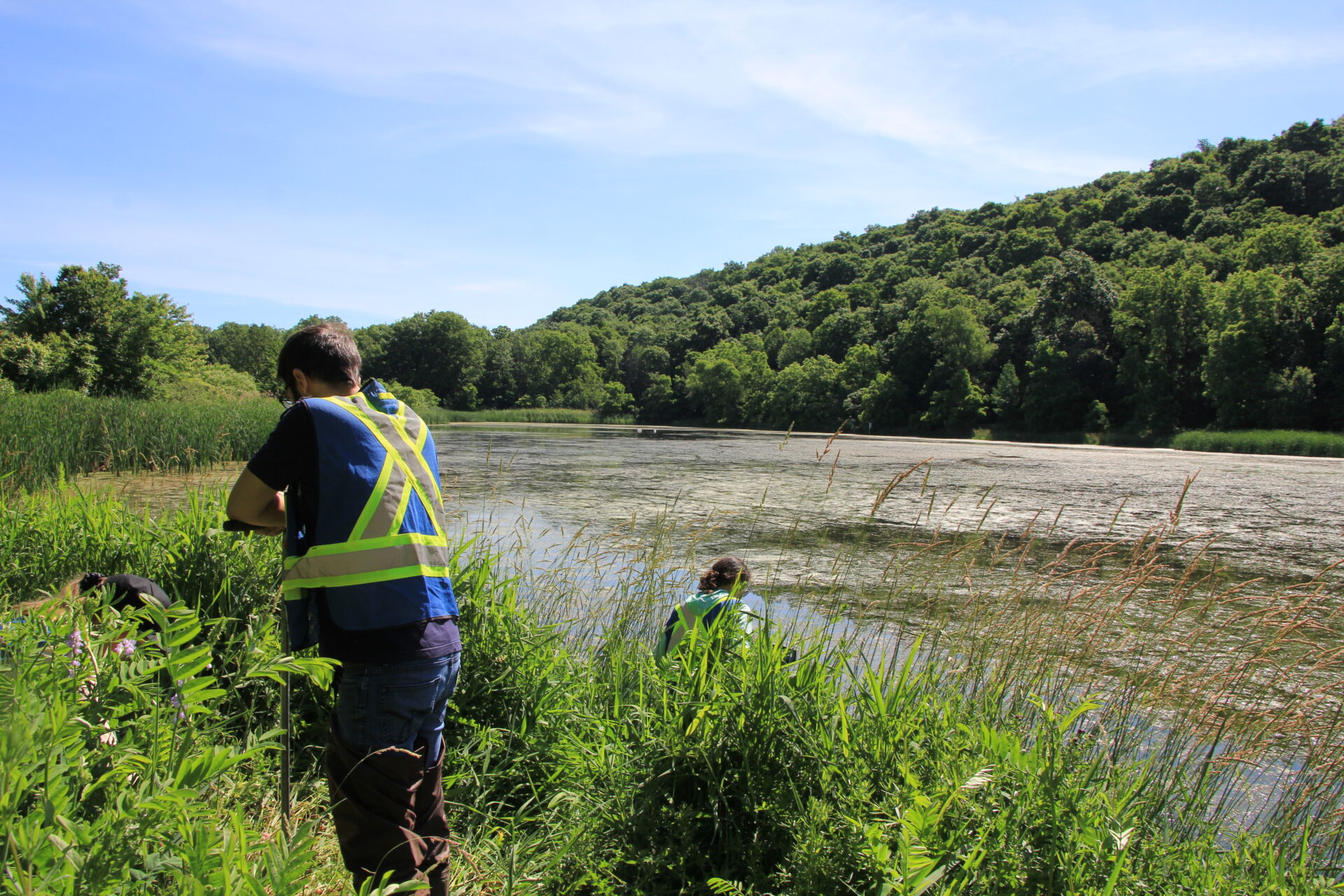 Students soil coring by the wetlands