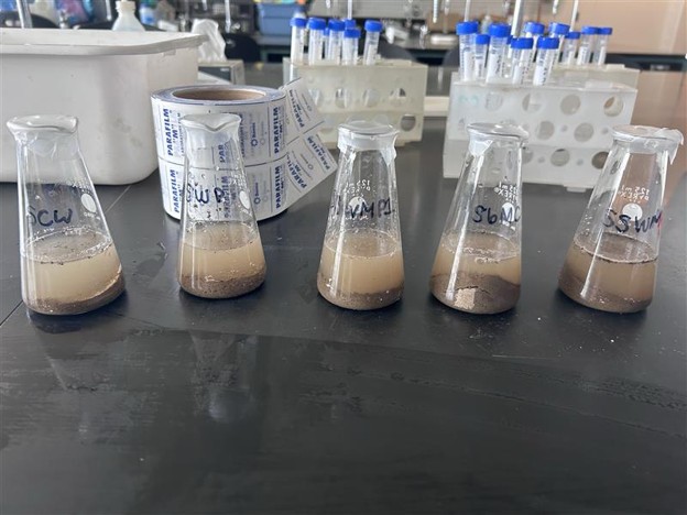 Soil samples being tested for Nitrate
