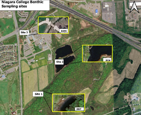 Sampling locations for benthics