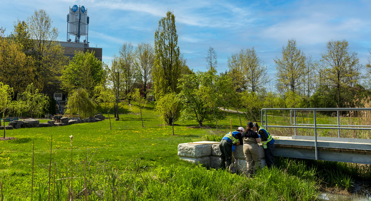 Three environmental students wearing waders monitor benthics in water run off ditch during Spring