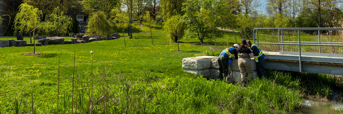 Three environmental students wearing waders monitor benthics in water run off ditch during Spring