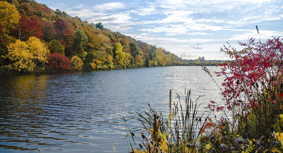 The Niagara-on-the-Lake campus lagoon - shimmer body of water surrounded by colourful autumn trees