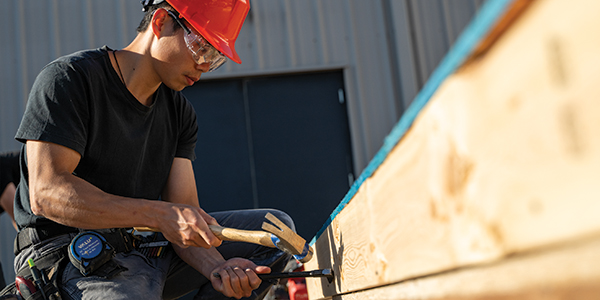 Image for Carpentry and Renovation Techniques
