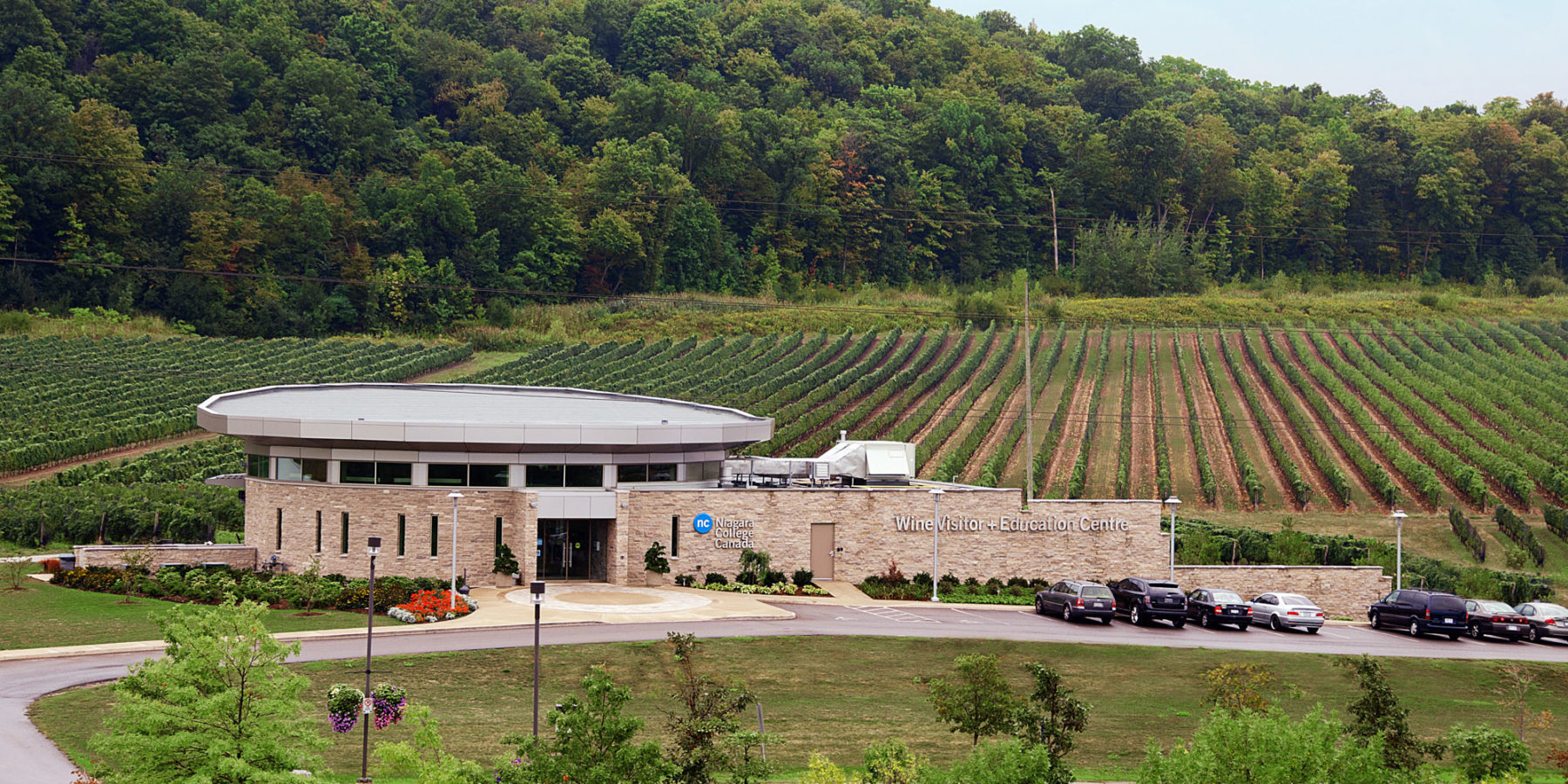 Wine Visitor and Education Centre building set amongst vineyard