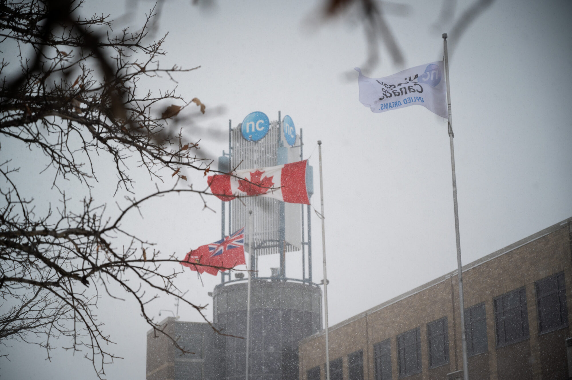 The NC tower in the background on a snowy day, with various flags in the foreground.