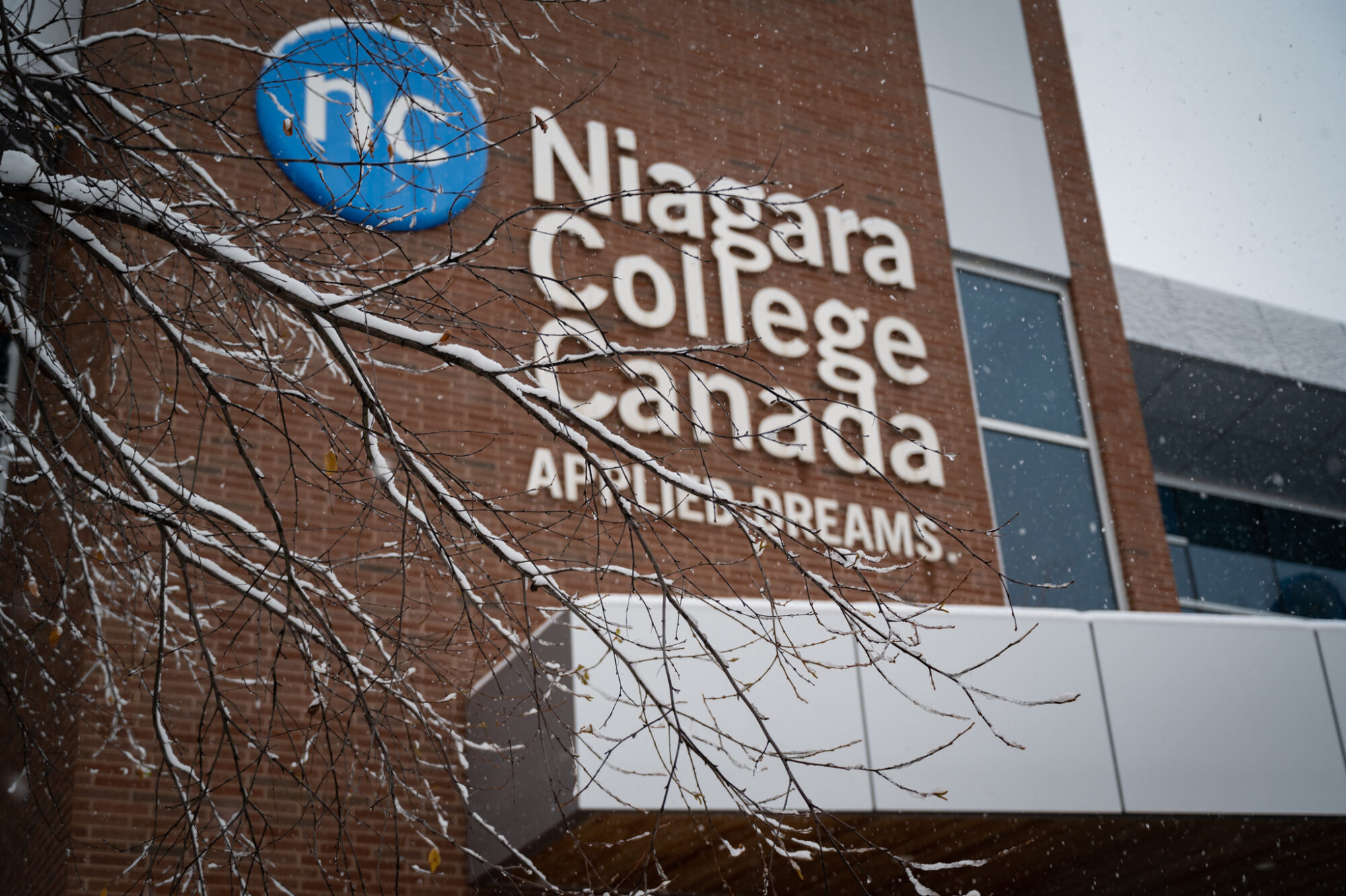 Niagara College logo on brick building with snow-covered tree branches in the foreground