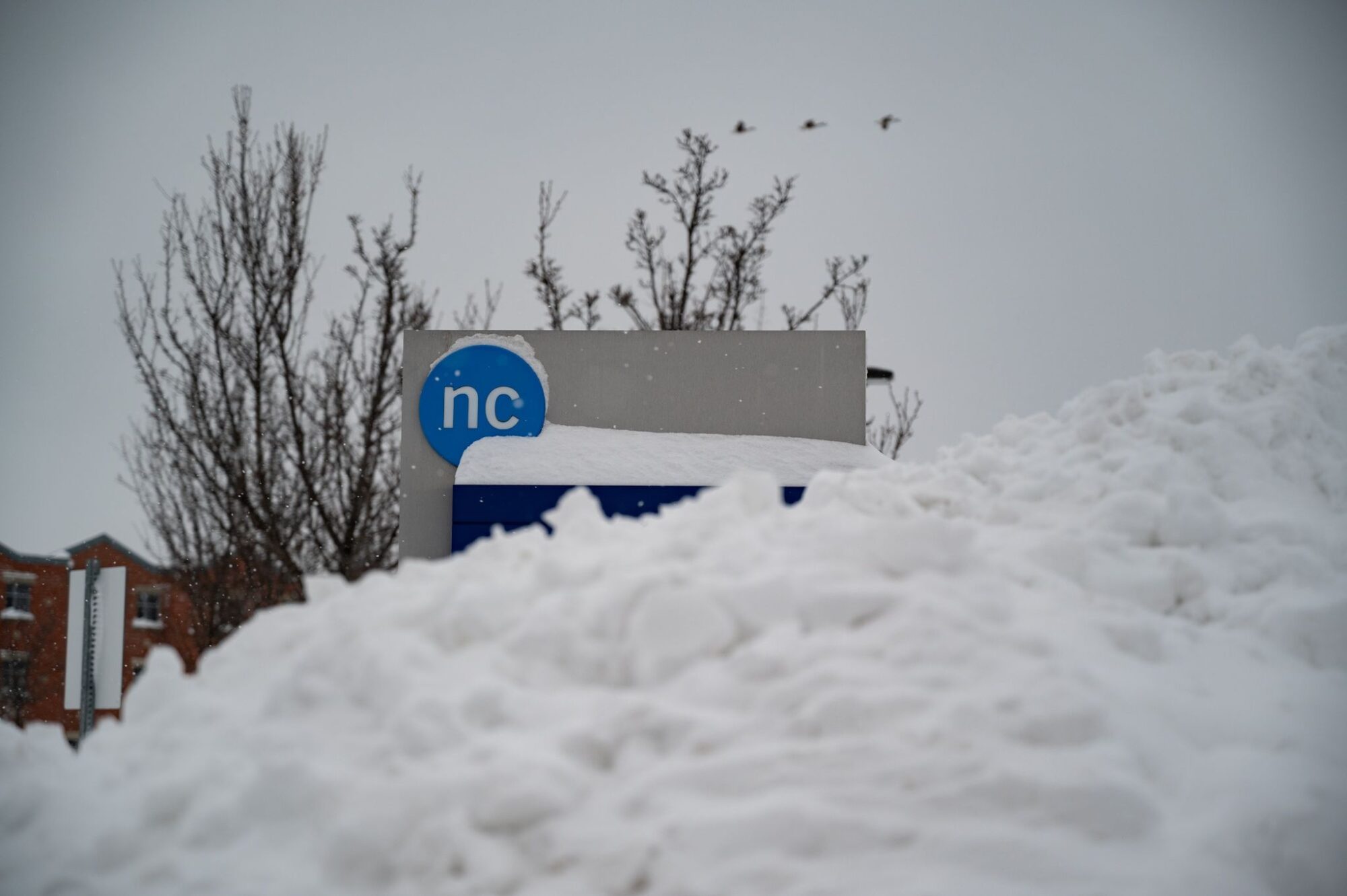 a snow covered campus sign appears with a snow hill in the foreground and trees in the background
